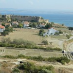 ertuğrul koyu